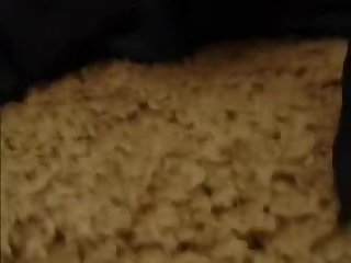 Xxx New Porn Video Hindi