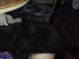 Amateur Beach Sex Porn Xxx