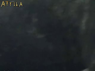 Zoo Porn Dick