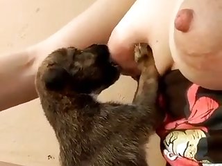 Shemales And Animal Sex