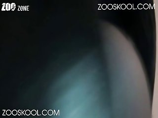 Nun Zoo Porn