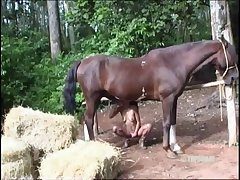Animal Sex Women's