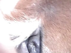 Man Has Sex With Stuffed Animal Target