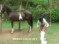 Man To Animal Sex Videos