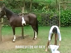 Man To Animal Sex Videos