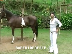Man To Animal Sex Videos