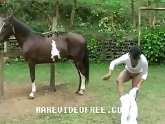 Man To Animal Sex Videos