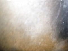 Animal Sex Each Other