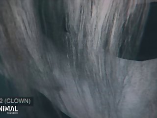 Harley Sin Zoo Porn