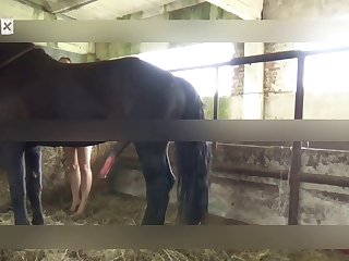 Animal Sex Storys