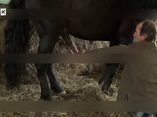 Animal Sex Storys