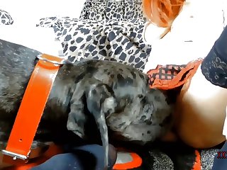 Voyeur Animal Sex