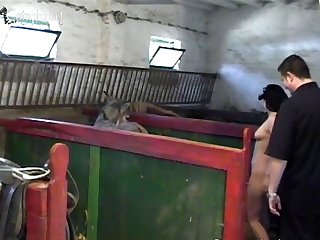 Zoo Porn Indian