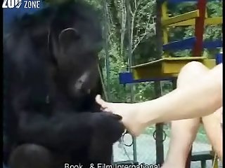 Animal Sex With Horse