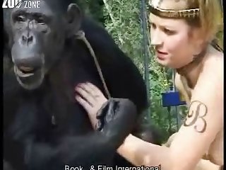 Animal Sex With Horse