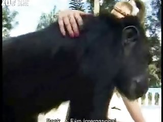 Animal Sex With Horse