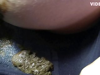 Animal Sex Games