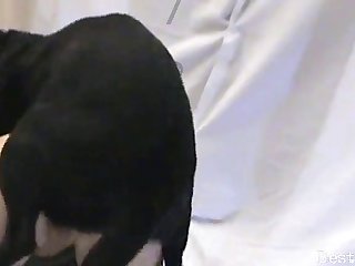 Xxx Hot Sex Xnxx