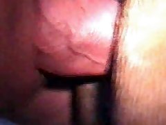 Animal Missionary Sex