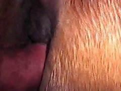 Animal Missionary Sex