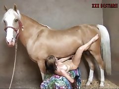 Animal Movie Sex Scene Ranvir Kapoor