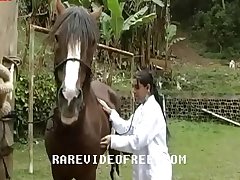 Animal Ladies Sex Videos