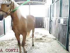 Animal Sex Woman interview