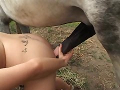 Xxx Animal Sex Horse