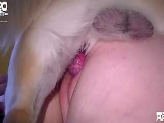 Animal Sex Acts