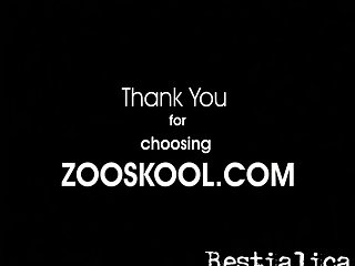 How To Train Your Dog Porn Game