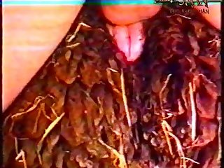 Xnxx Zoo Porn Videos