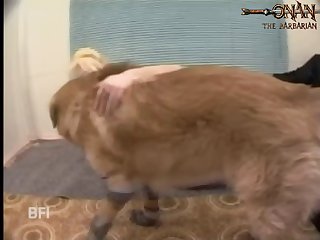 Animal Sex With Beautiful Girl