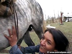 Animal Sex Free Tubes