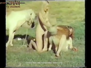 Simpson Zoo Porn