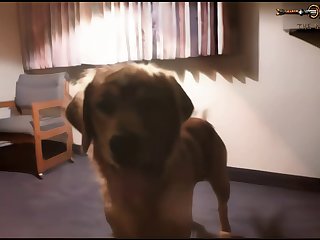 Screaming Animal Sex
