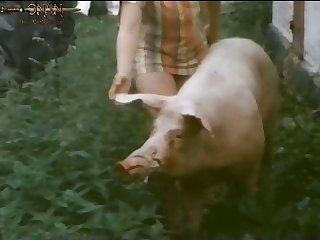 Bitch In Heat Zoo Porn