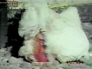 Gorilla Animal Sex