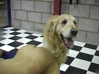 Zoo Porn Blowjob Dog