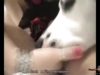 Zoo Porn Chimpanzee