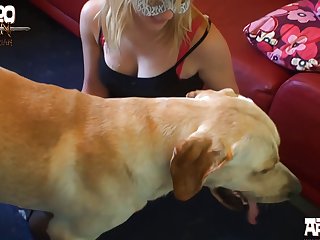 Free Porn Animal Sex
