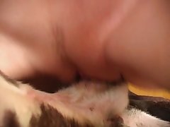 Dog Fuck Mouth Woman