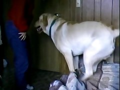 Horny Dog Fuck Wife