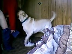 Horny Dog Fuck Wife