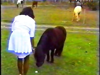 Animal Sex Animetion