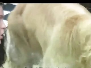 Newest Zoo Porn Videos