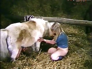 Animal Sex Drugs And Rock And Roll