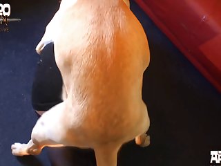 Huge Cock Zoo Porn