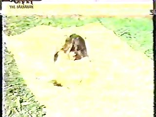 Animal Sex