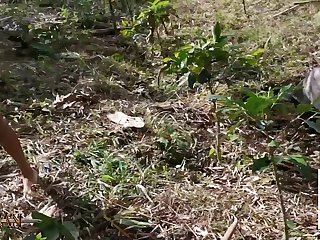 Zoo Porn Snail
