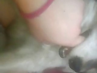 Animal Sex Brutal
